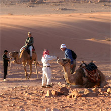 Бедуины верблюды.jpg